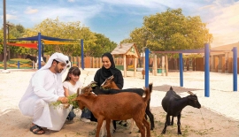 Kids-Farm-Goat-Feeding