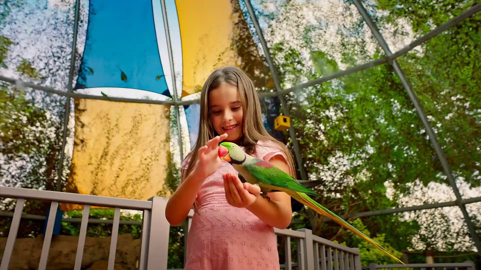 Children meeting farm animals at Kids Farm, Dubai Safari Park