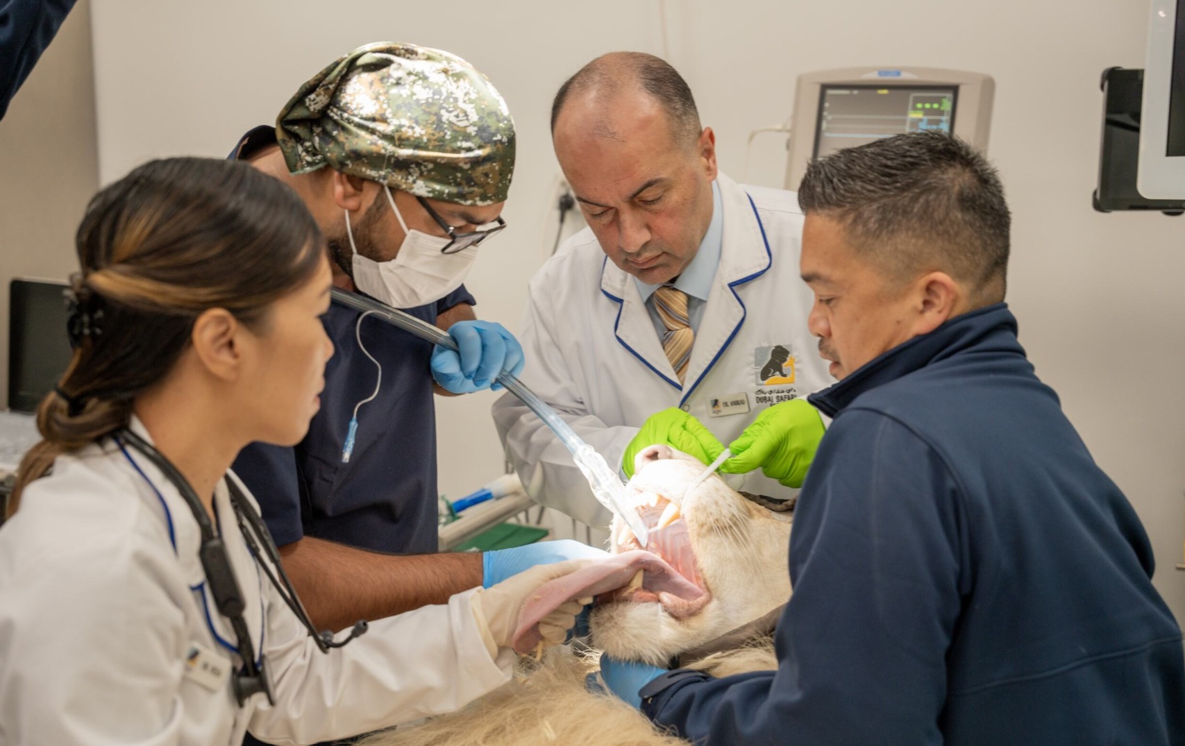 Vet health check